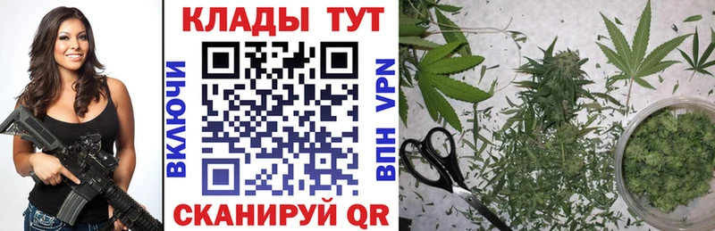 Виды наркотиков купить Тамбов КОКАИН  Альфа ПВП  АМФЕТАМИН  Гашиш  Конопля 