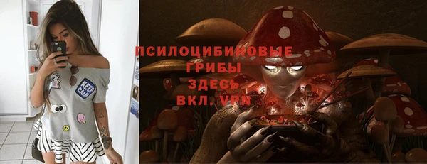 прущая мука Богородск