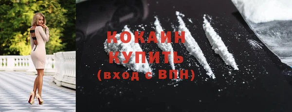 прущий лед Богородицк
