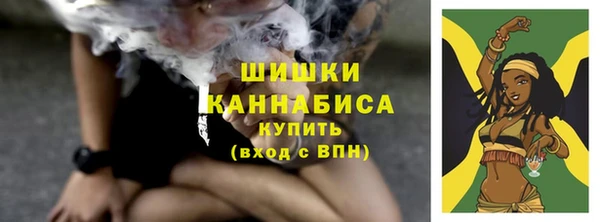 прущая мука Богородск