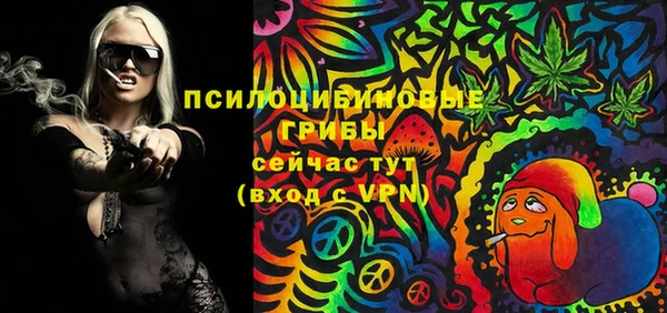 прущая мука Богородск