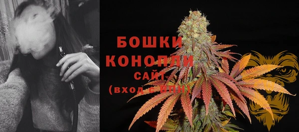 прущая мука Богородск