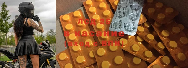дживик Богданович